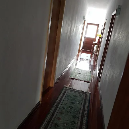 Moradia Rotunda Dos Bois * Montalegre